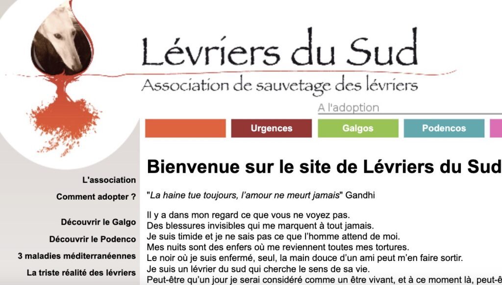 Lévriers du Sud