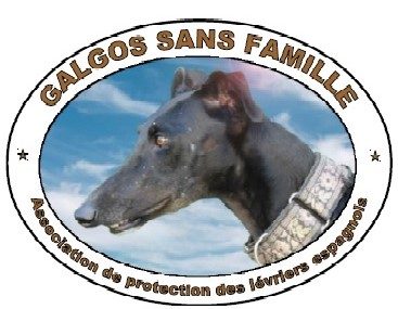 galgos-sans-famille