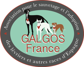 Galgos France